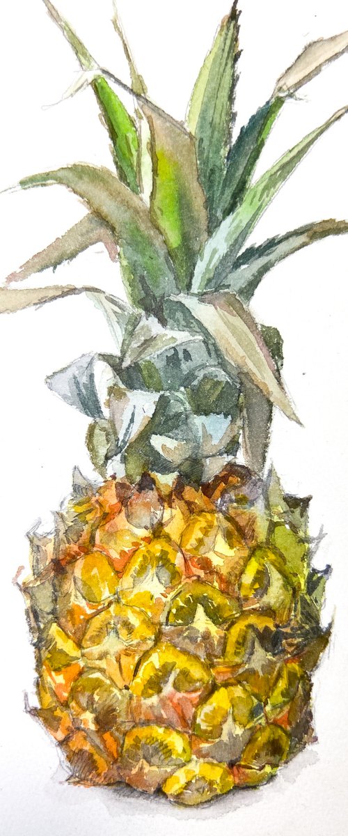 Baby pineapple by Nataliia Nosyk