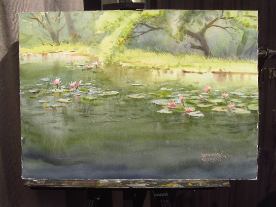 Water lilies