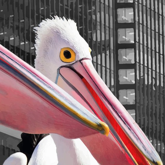 PELICANS IN THE CITY | DIGITAL PAINTING, EDITION OF 7 PIECES