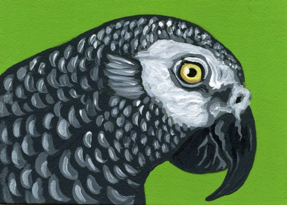 ACEO ATC Original Miniature Painting African Gray Parrot Pet Bird Art-Carla Smale