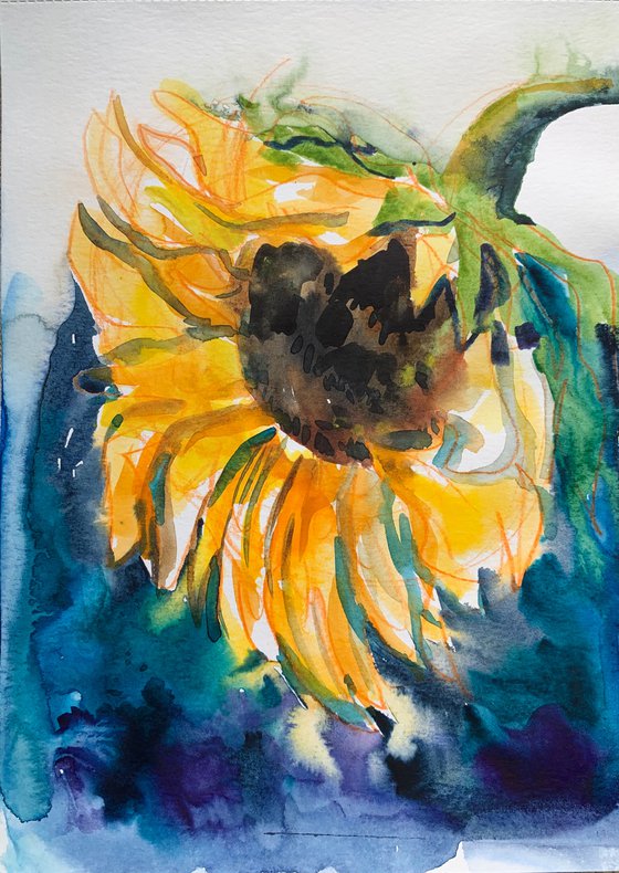 Sunflower