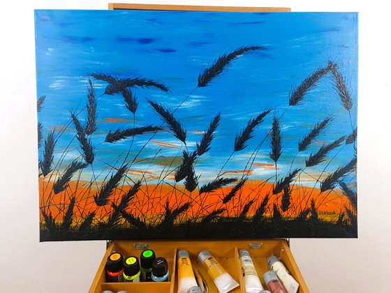 Sunset in the grass