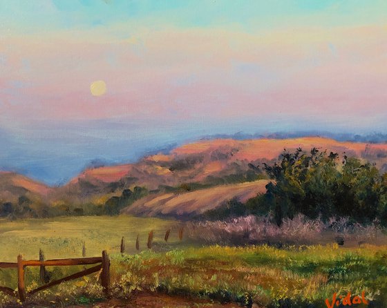 Moon rise at Yaraka, Outback QLD - Plein air painting