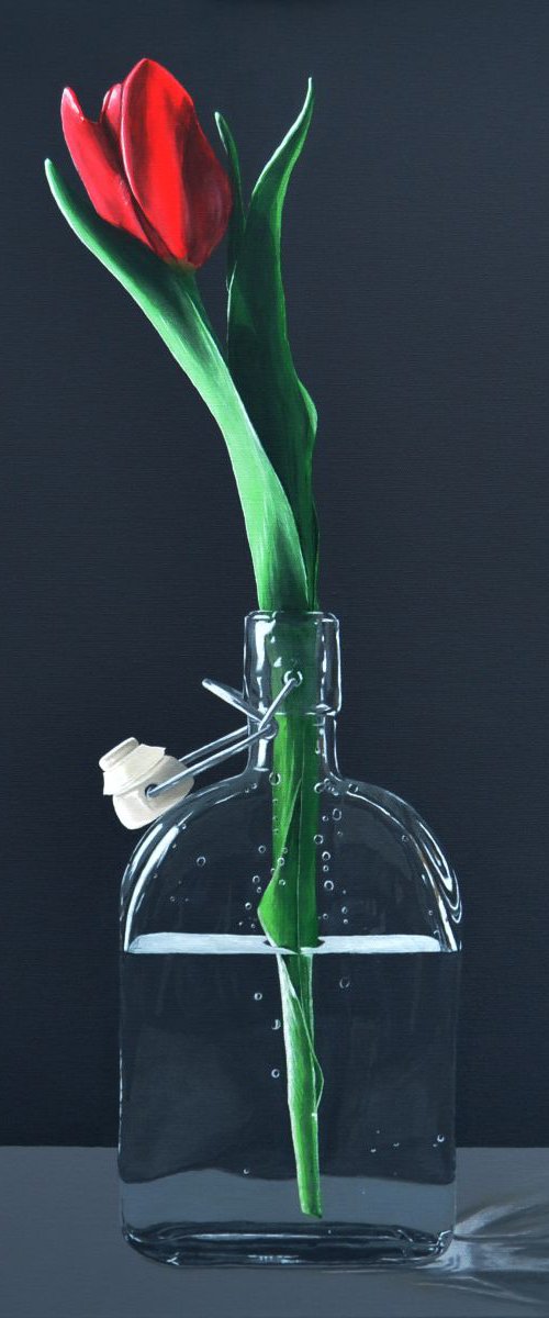 Red Tulip by Ben Slade