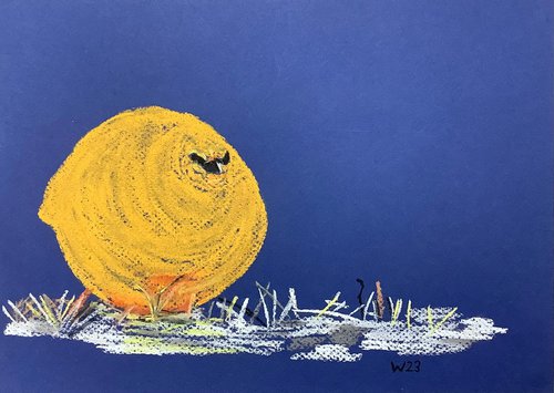 Ptarmigan, orange by Wolfgang Föste