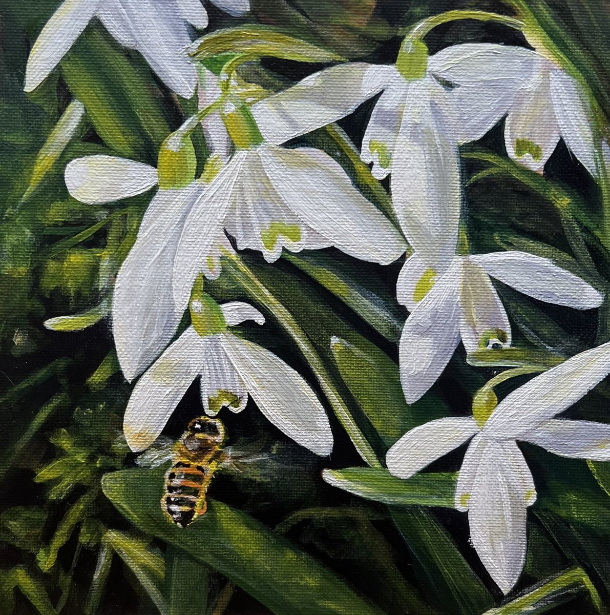  Snowdrops And Bee By Sarah Stowe, 9 X 9, Artwork For Sale On Artfinder