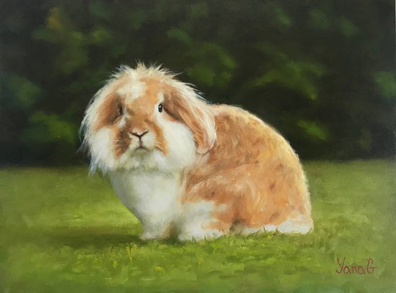 Original Oil Painting of a Bunny Bentley