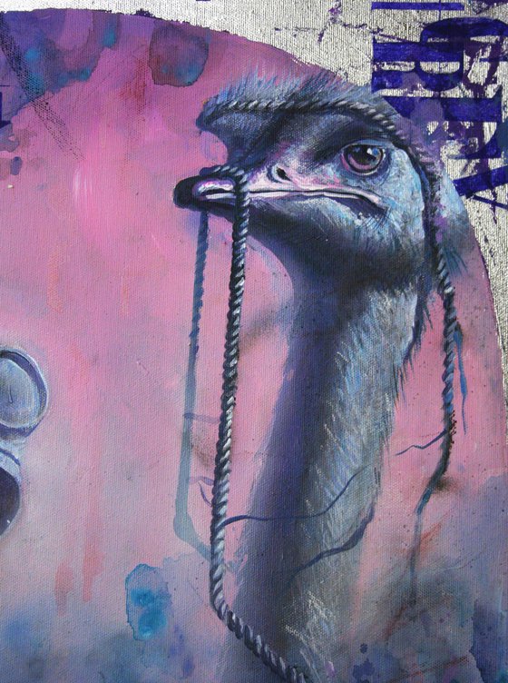 НЕЗНАКОМКА И СТРАУС.