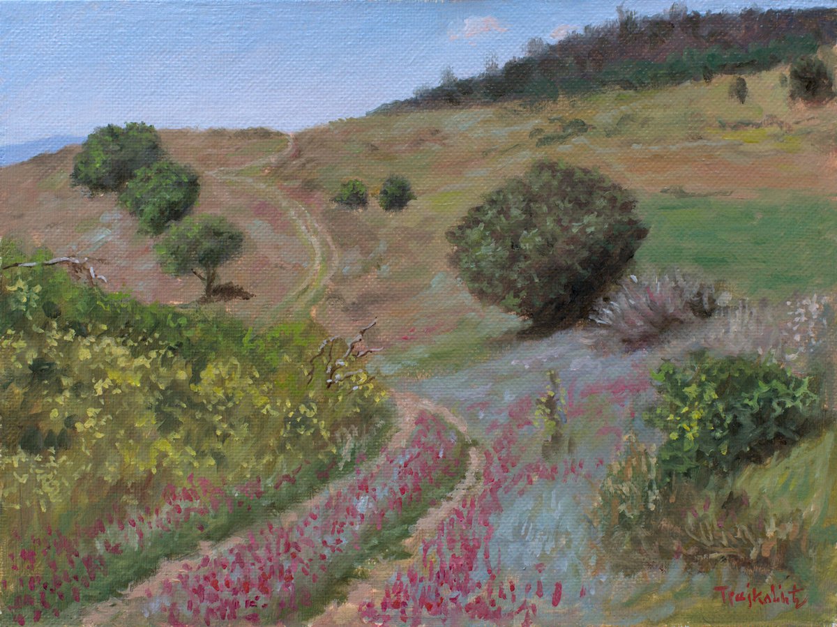 Impressionistic Landscape Oil Painting By Dejan Trajkovic, 20 X 16, No Reason, Original Artwork