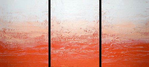 tangerine Triptych orange gift 3 panel canvas by Stuart Wright
