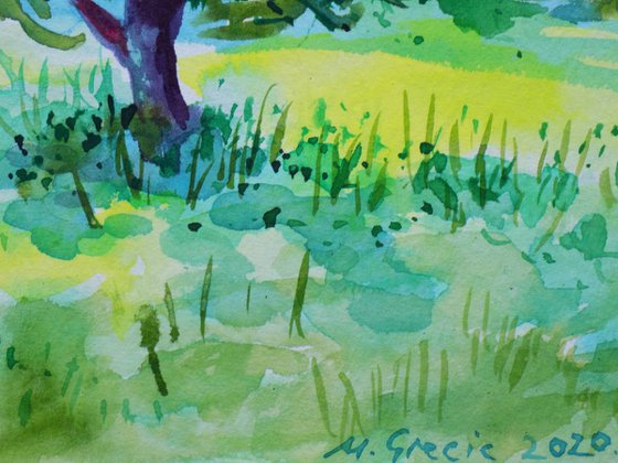 Olive grove in turquoise and green