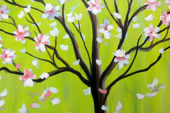 Magnolia Spring