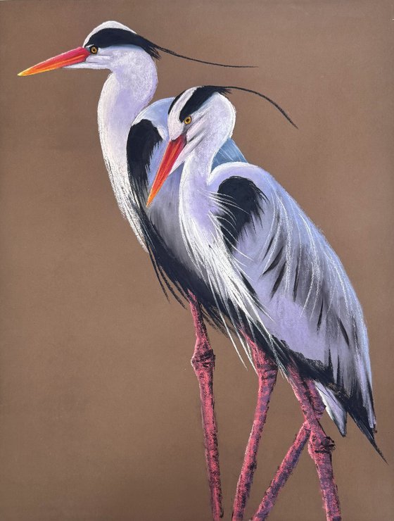 Heron Wader Ardea Hern Stroks