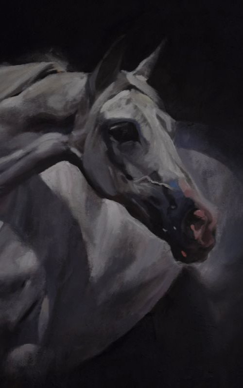 Lady Grey by John Welsh