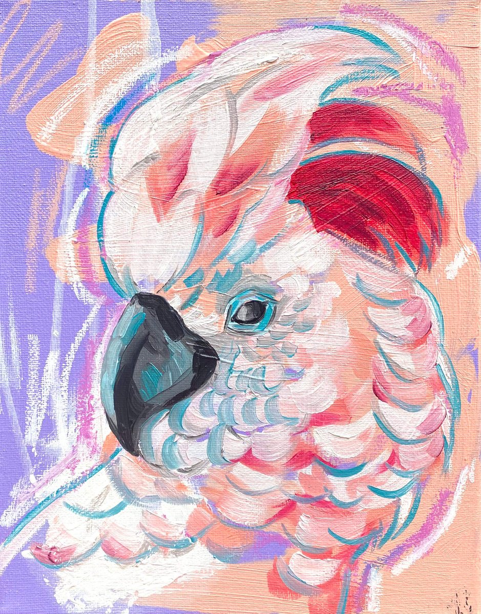 Urban And Pop Oil Painting , Cockatoo By Kate Revill, 8 X 10, Artwork For Sale On Artfinder