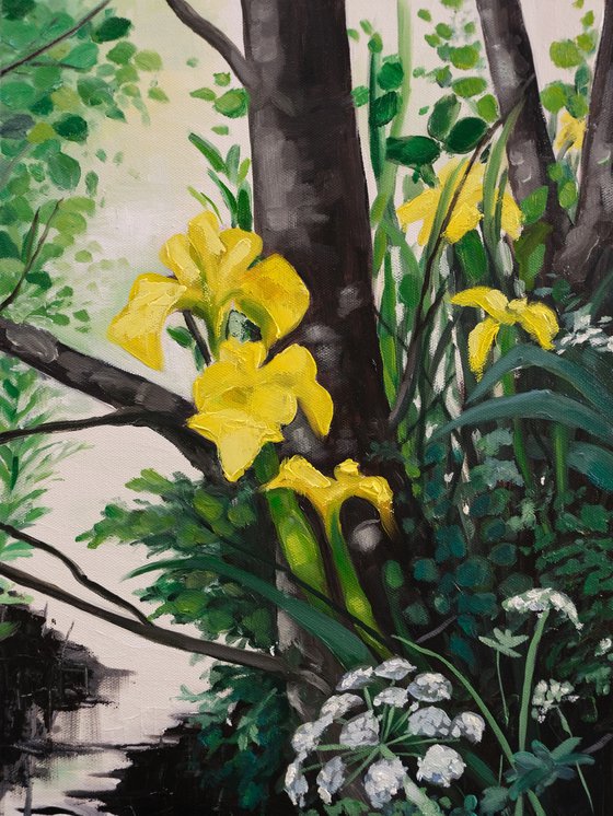 Yellow Iris on the waters edge