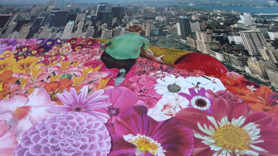 A Carpet of Flowers in Central Park New York