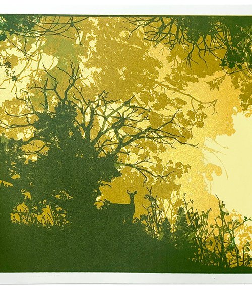 Gap in the Forest by Chris Keegan