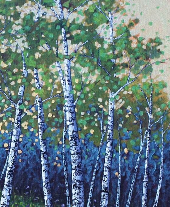 East Coast Birches