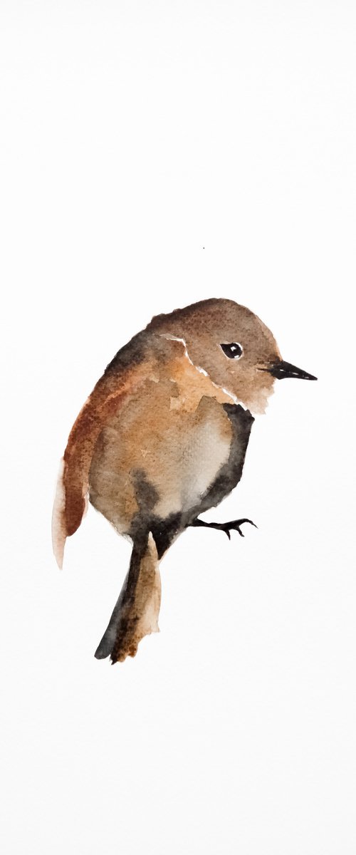 Bird by Nadia Moniatis