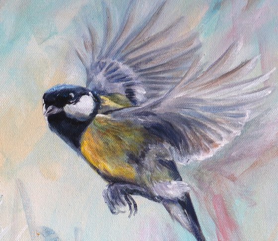 Mr Bluetit