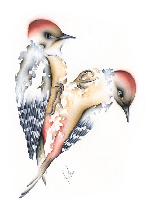 Spotted Woodpeckers by ieva Janu