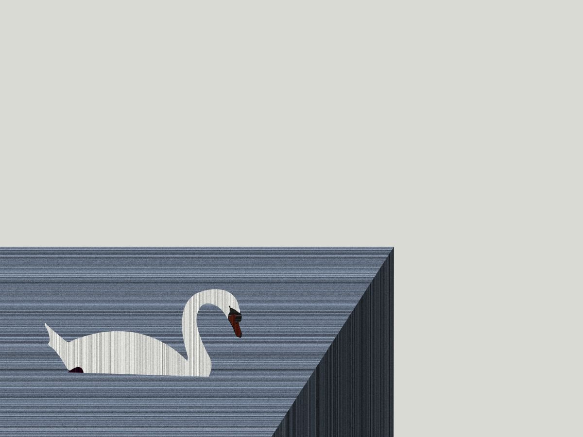 Swan by Rennie Pilgrem