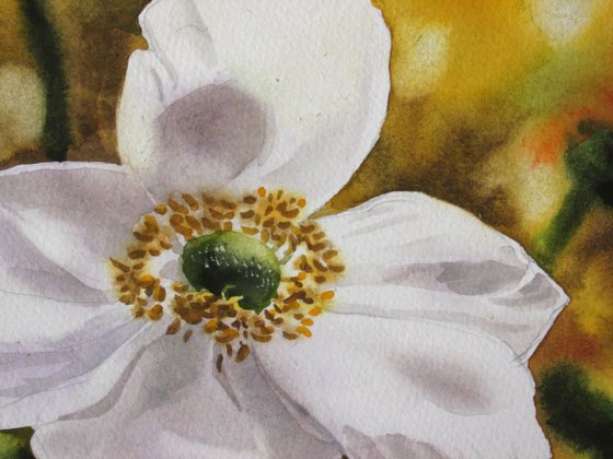 A painting a day #10 "Japanese anemone"
