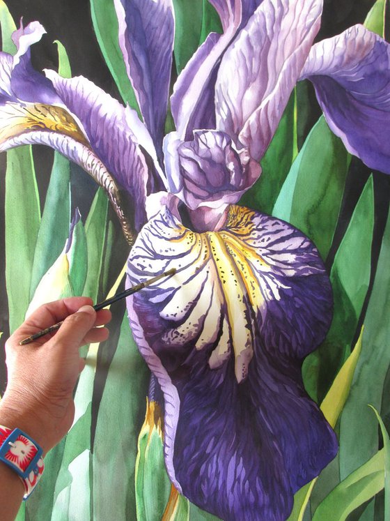 Dutch iris with greens