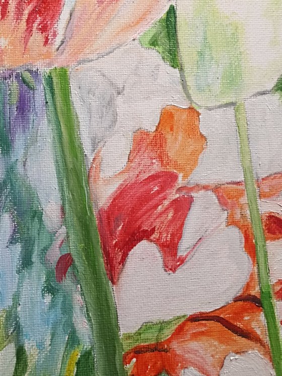 Tulips flowers