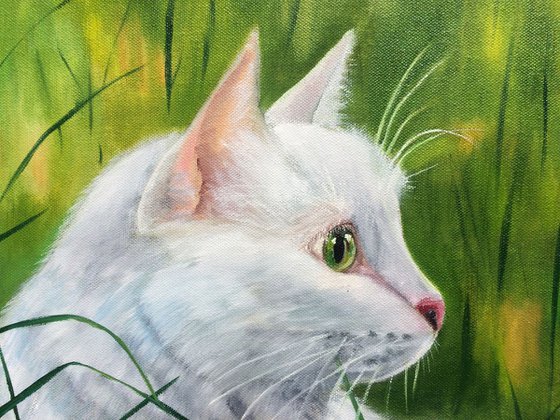 white Cat for a walk. Realistic Portrait a lovely Cat