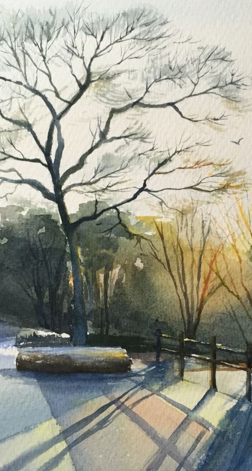 Winter Sun by Jing Chen