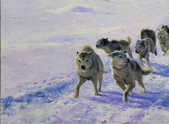 Sledding in the Mountains