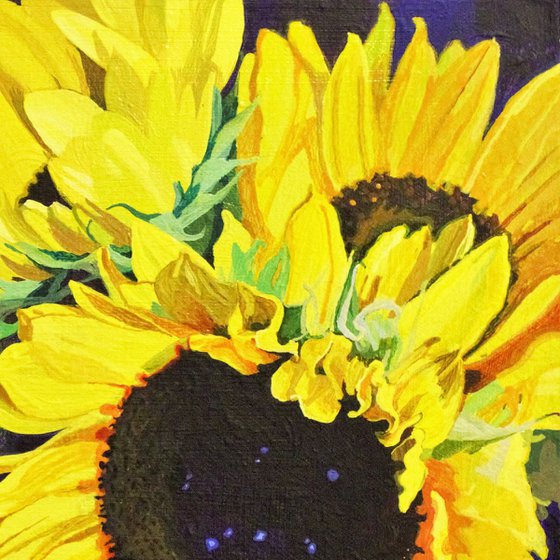 Sunflowers