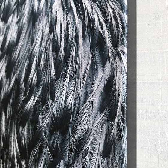 Emu feathers
