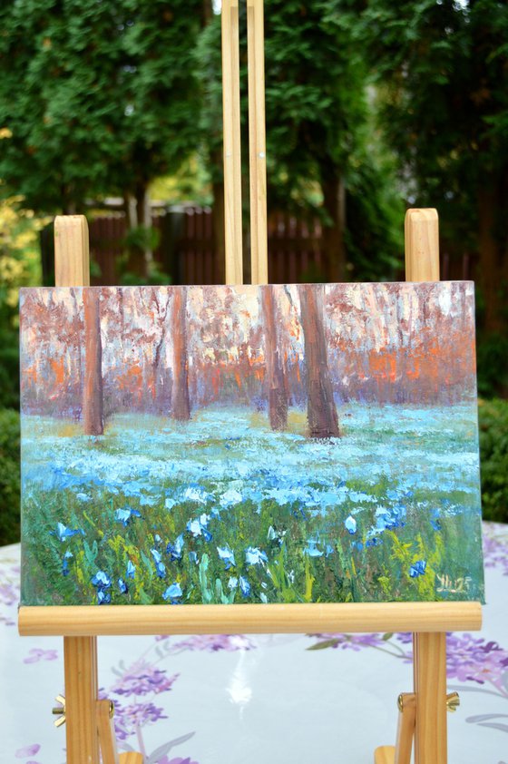 Scilla in the morning park