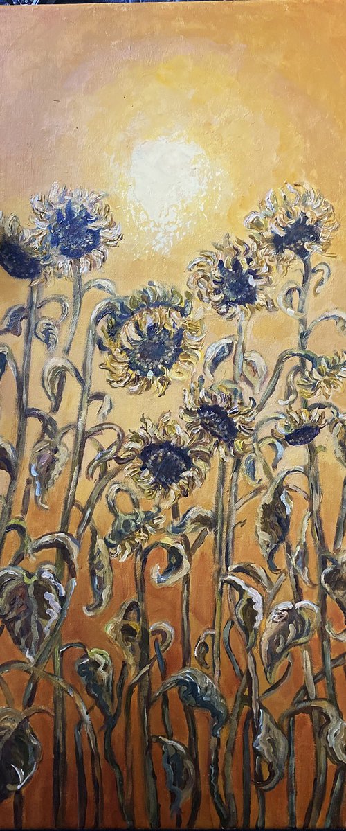Sunflowers by Colette Baumback