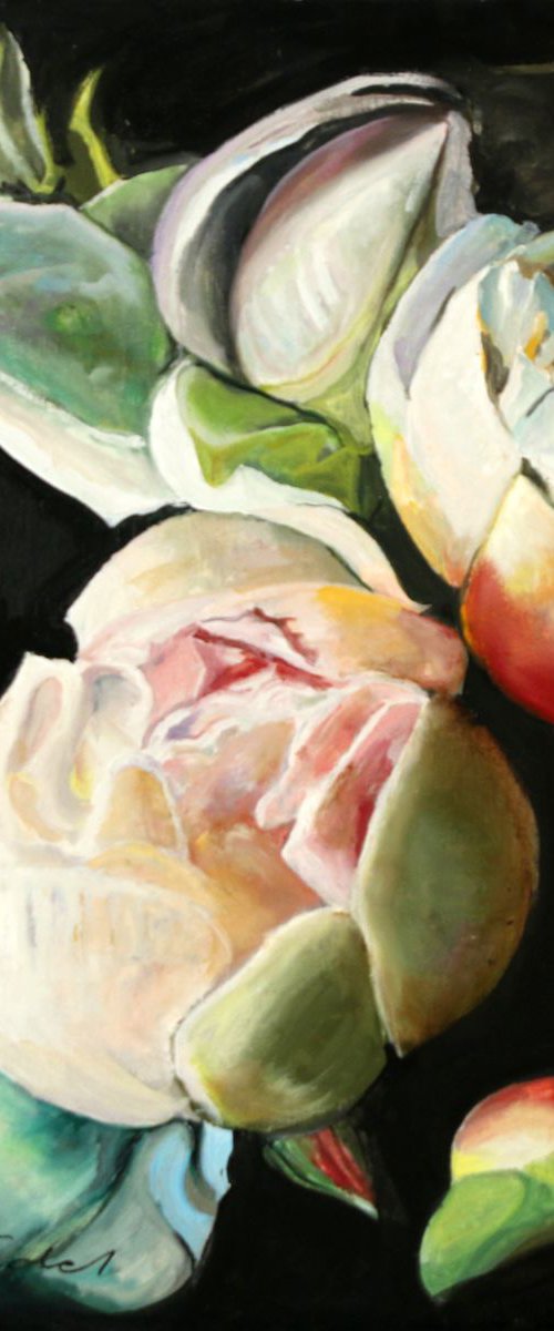 pivoines by Clotilde Nadel