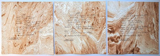 Set of 3 «Cozy Oasis»