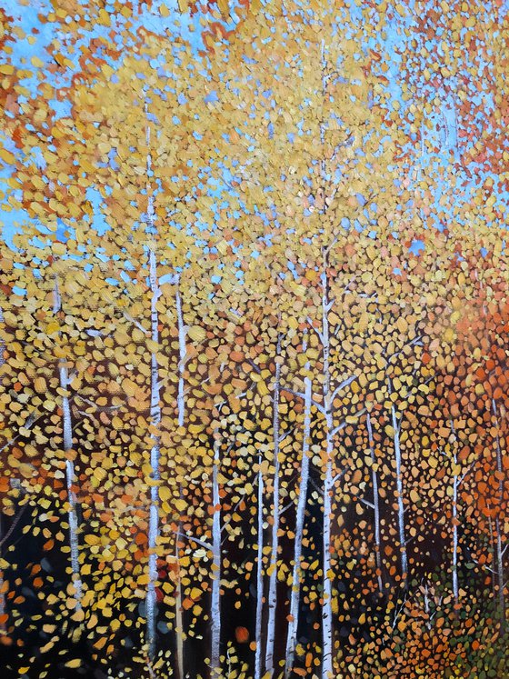 Yellow Aspen Tree