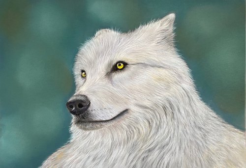 Wolf by Maxine Taylor