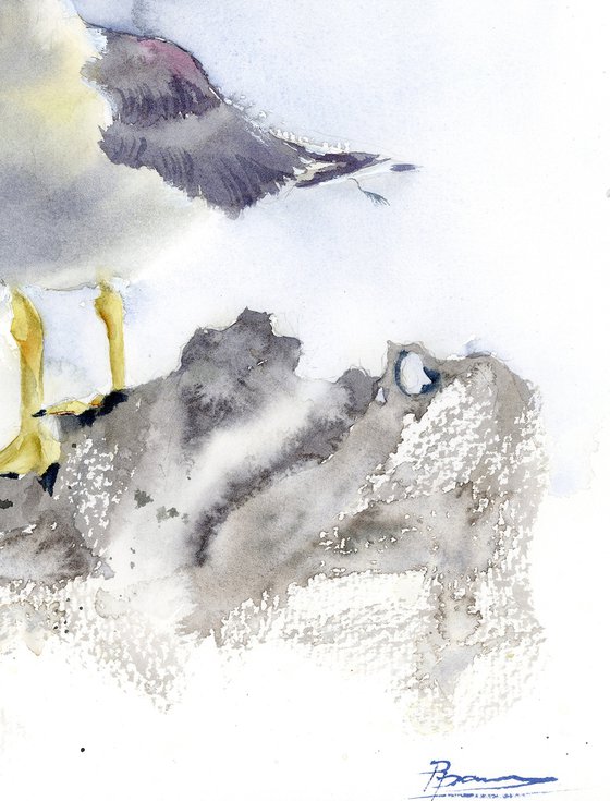 Seagull  -  Original Watercolor Painting