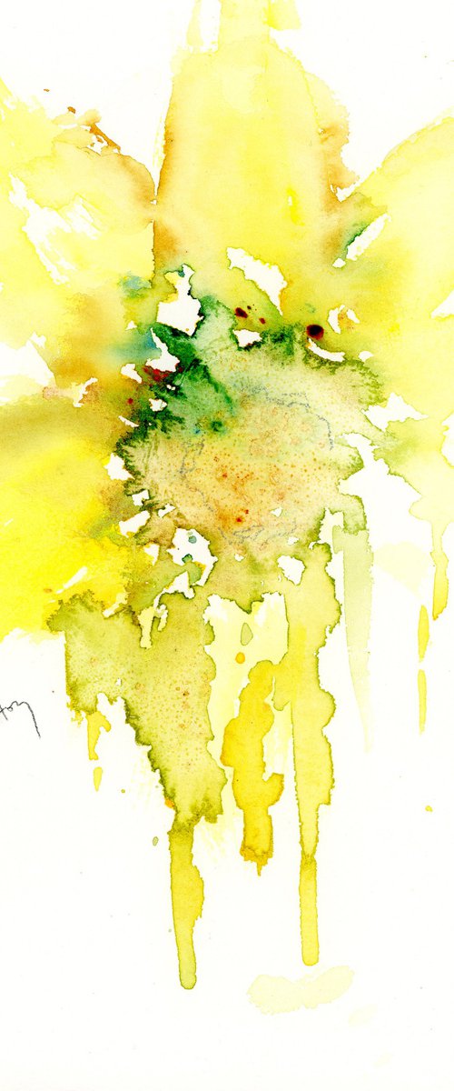 Close Daffodil by Alex Tolstoy