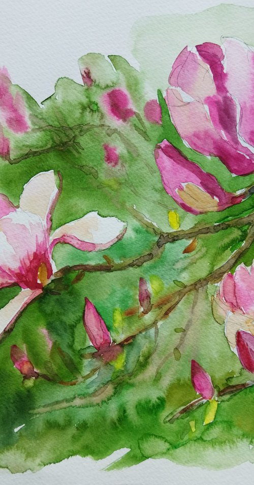 Magnolia in blooming by Ann Krasikova