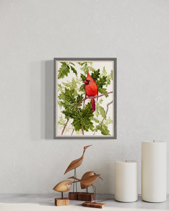 Red Cardinal on Oak Tree