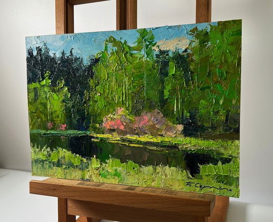 Spring Lake in the Forest