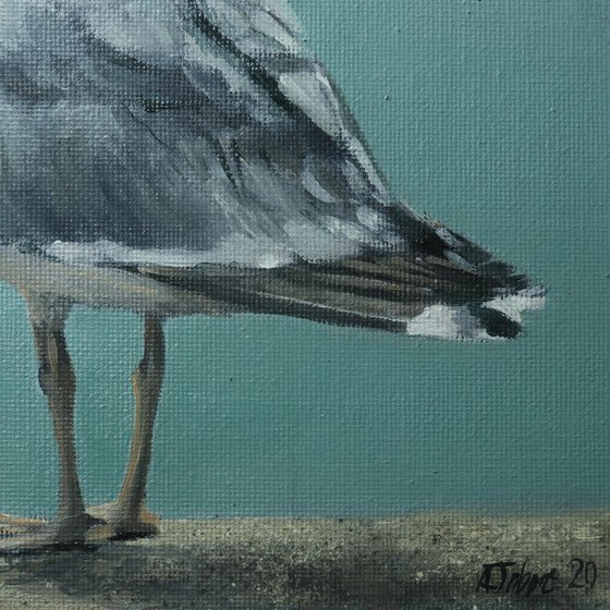 Voices of the Sea Series - Seagull Painting, Bird Art by Alex Jabore