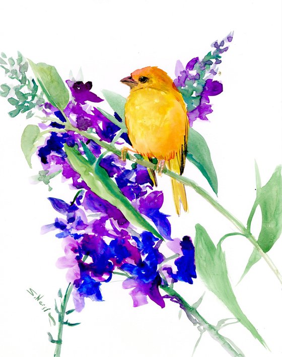 Saffron Finch and Purple Blue Flowers