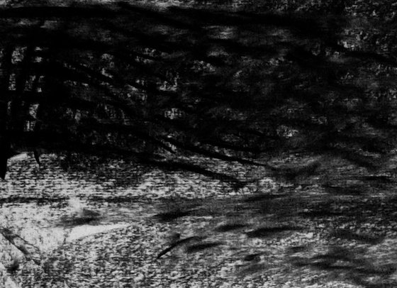 River Flow Patterns (Flood)