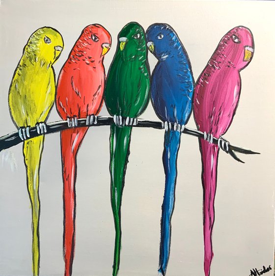 Rainbow Birds 2